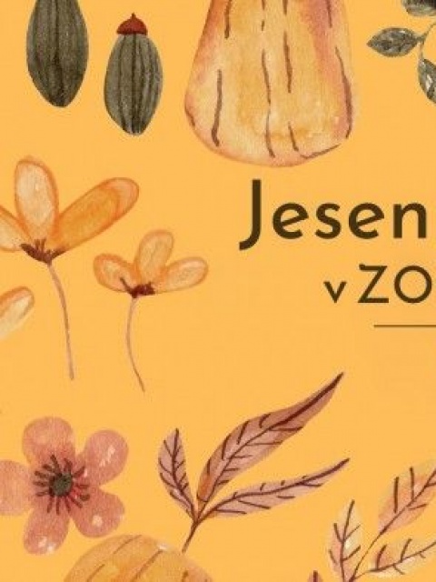 Jesenný festival v ZOO