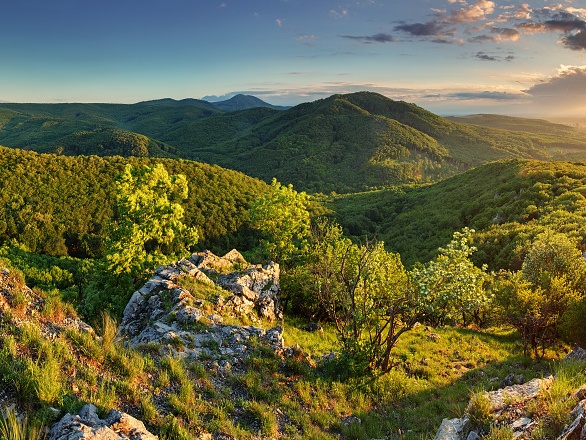 Chránená krajinná oblasť Malé Karpaty